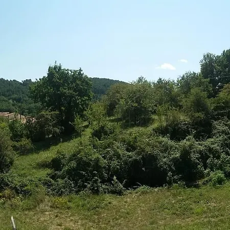 Aux Gres De L'eau *